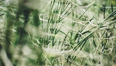 Cómo hacer amuletos auspiciosos con tus propias manos.