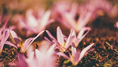 Cómo hacer un amuleto de buena suerte con tus propias manos.